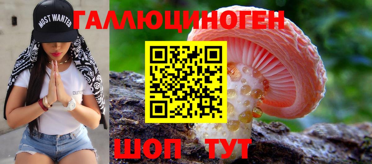 Псилоцибиновые грибы мицелий Балабаново